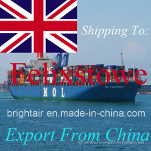Transitaire maritime d&#39;expédition de fret maritime de Chine à Felixstowe, Royaume-Uni
